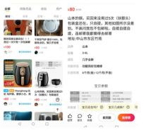 年轻人拜倒在网红小家电的“石榴裙”下