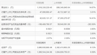 梦洁股份2021年半年业绩报告：实现营收10.16亿元，同比增长14.67%