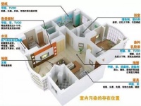 想实现一个月急住新房,又担心甲醛反弹?不用怕跟着做