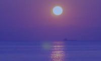 家居搭配要用星选的：太蓝了不是太难了！我不是“l、n”不分
