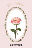 表白利器| 野兽派玫瑰花盒看这里