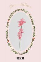 表白利器| 野兽派玫瑰花盒看这里