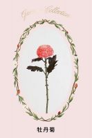 表白利器| 野兽派玫瑰花盒看这里