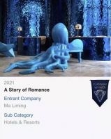 云南著名设计师斩获美国缪斯国际设计铂金奖