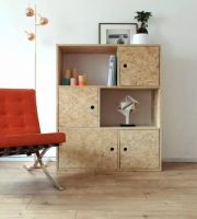 澳思柏恩斥巨资打造专业生产线 推动OSB板国产化