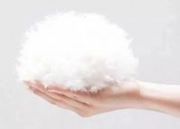 ​白露已至，水星家纺白鹅绒抗菌被温馨守护国民睡眠