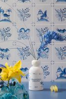 全新中国香 | 野兽派桂花乌龙诗意发布