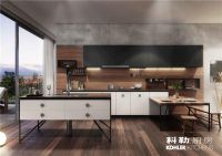 大促在即 与科勒整体橱柜博聚于雅 共享金秋