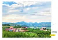 行走的力量 | 重走长征路，奋进新征程！