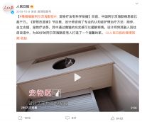 立邦《梦想改造家》第八季暖心回归，为中国家庭刷新梦想力量