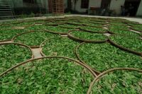 经验之谈:自己治理甲醛的一些优缺点,做好了也能轻松搞定