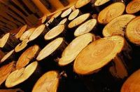 装修时板材不知怎么选？让远盛木业来教你