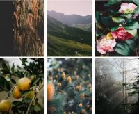 COOMO HOME 爱需要一点勇气,生活需要一点香气