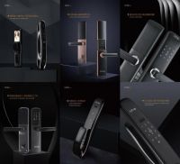 “智”造好品，“慧”聚精英丨Litap浅指，剑指大红海