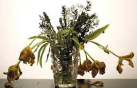 进入新家后喷嚏打不停 还有哪些征兆说明你家甲醛可能超标？