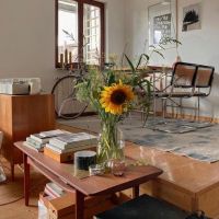 德国一女主晒自己的独居生活照：悠闲自在，一个人的日子精致有味