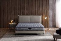 Simmons席梦思 匠心铸就升级美眠