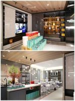 品味生活·探索未来 塘厦合生雅居品鉴沙龙盛装开启