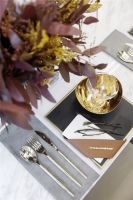 为空间破冰，质感升级！克洛斯威色彩美学课堂