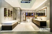 时代浪潮下，浪鲸卫浴如何破圈重塑，打造品牌年轻化