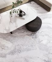 从技术领先到市场领先，新锐瓷砖品牌：大角鹿刚刚启程