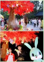 中秋家居品牌营销中，兔宝宝惊艳破圈