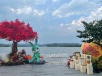 中秋可以如此有温度，兔宝宝带来不一样的陪伴