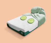 ZINUS美国际诺思执行业之牛耳更是“家居弄潮儿”