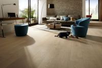 德尚御品2021年度中国强化地板十大品牌