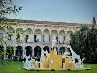 限时活动 · 重磅出击 | 来IMOLA，送你火到全球都断货的家居宠物