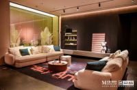 个性居家潮我看,帝标家居星YOUNG店盛大揭幕,重新定义潮酷