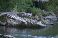 “以关爱之名”保护湿地水生态   美的呼吁一起践行守护中华秋