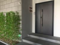 云智星智能门:东方意蕴“不止一面”,打造一扇颇具“野心”的智