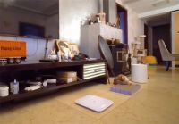 95后上海姑娘185㎡独居之家：2室2厅住下一人两猫，3梯1户太惬意