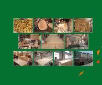 新品头条，环保板材家湘美品牌植物豆胶免漆板上市了