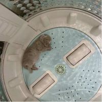 净水器的产生废水是浪费吗？知道真相后的我更想买了