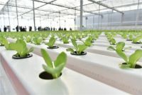 与美好时代同行，中国联塑担当尽责彰显作为