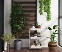 伟经|国风玉兔小推车颜值与实力并存,深受消费者追捧