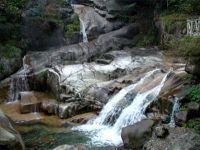 细数水的分类 高端纯净水渐成家庭净饮水标配