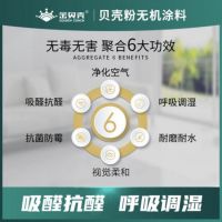 环保特性备受青睐 金贝壳贝壳粉无机涂料市场潜力无限！