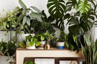 这样除甲醛，不出一个月，安全住新房