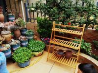 一楼带院子的房能买吗？不顾反对买了，入住3年告诉你：利大于弊