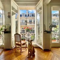 80后法国女主靠自己努力买房，全屋精致优雅，岁月静好，好治愈！