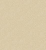 【领绣·菁华】STYLE TAGES——焦羽  CHARRED FEATHERS