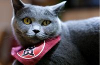 松下S5镜头怎么选?双镜头组合轻便实用