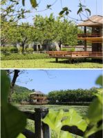 李小龙是功夫“一代宗师”，粤强要做瓷砖“一代宗师”