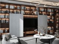 炬森移门系列丨电动巴士门“平柔星一号”