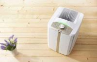 还有人在交“除甲醛”的智商税？真正管用的就这4招