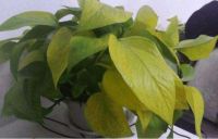 装修后到底多久才能安全入住？这三种简易辨别方法，一看就会