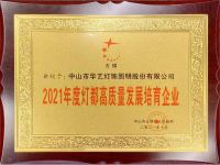 对话华艺照明，看灯都龙头企业如何走上“双循环”发展快车道